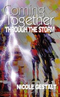 Through The Storm Cover